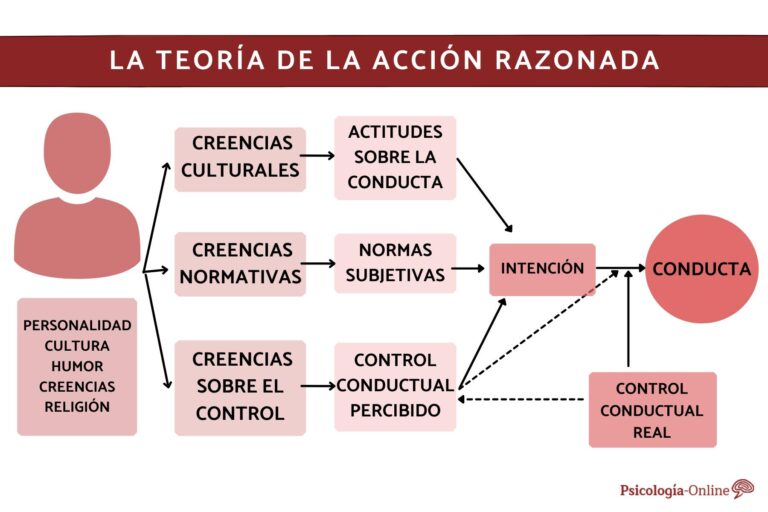 Descubre La Doble Implicaci N Con Ejemplos Claros