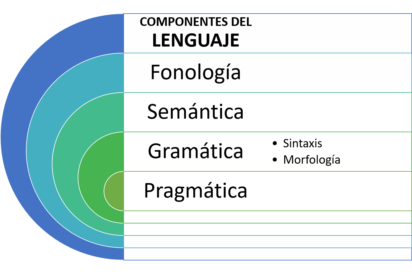 El poder de la organización: elementos lingüísticos estructurales